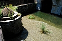 Lago di Como_232